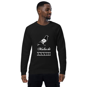 Pigeon organic raglan sweatshirt